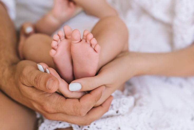 In Vitro Fertilization (IVF)
