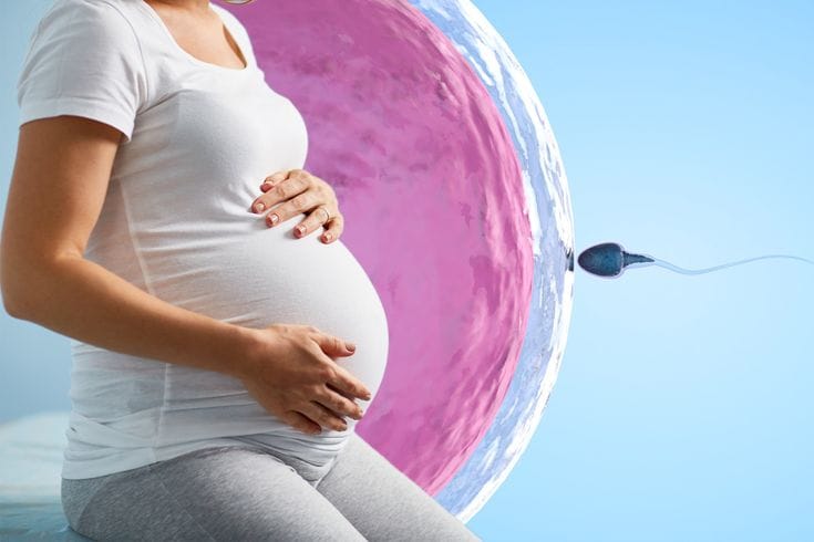 IVF Treatment Cost with Insurance Coverage