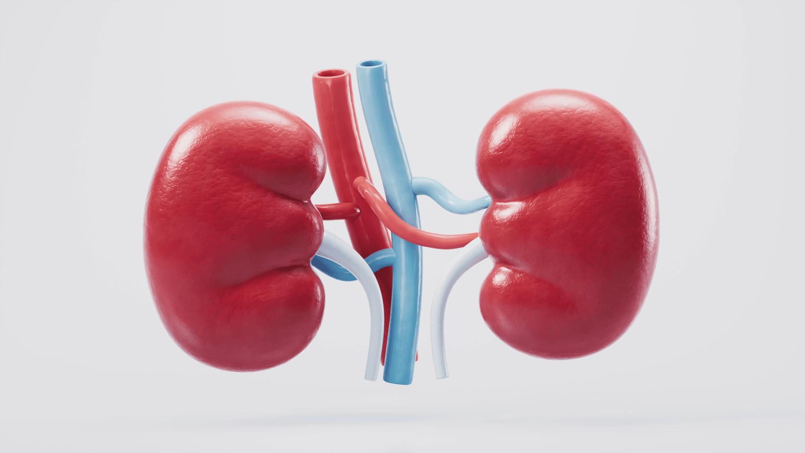 Top 5 Kidney Transplant Hospital in India