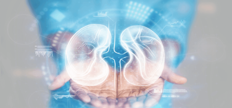 Liver Transplant India Medical Tourism By Synovia Health