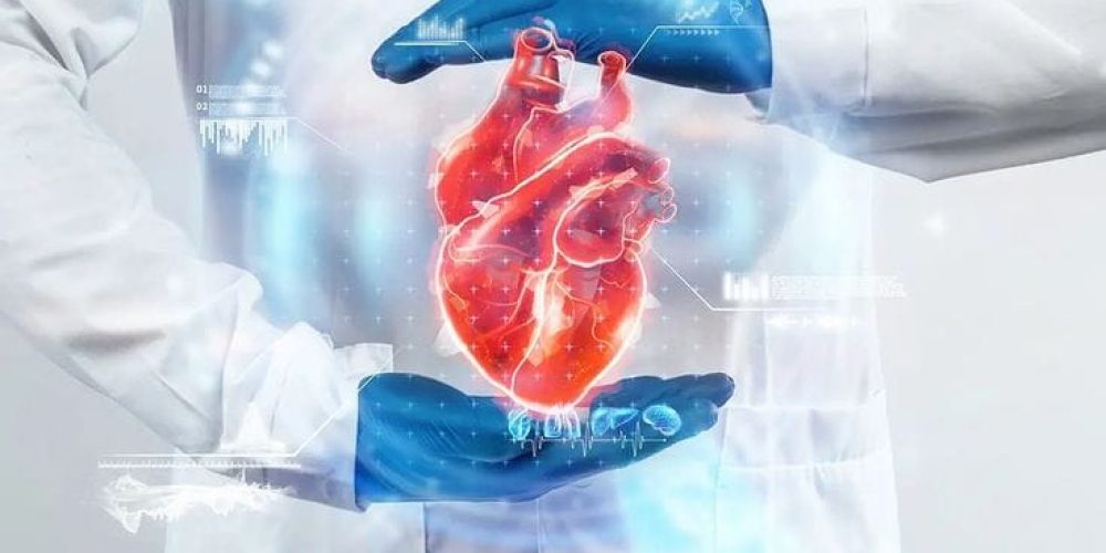 Heart Transplant By Synovia Health Heart Transplant By Synovia Health