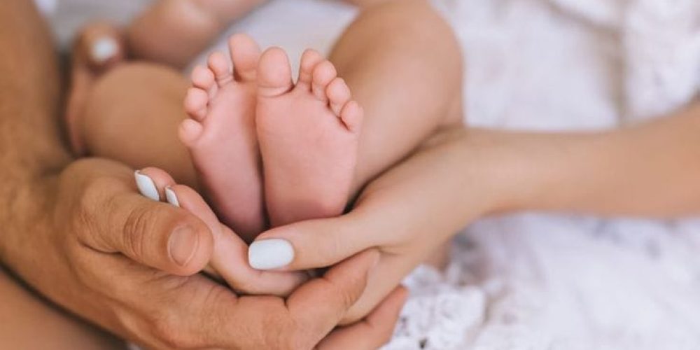 In Vitro Fertilization (IVF) In Vitro Fertilization (IVF)