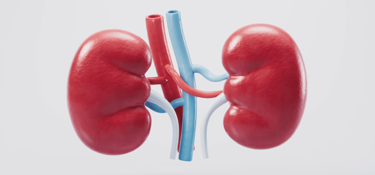 Top 5 Kidney Transplant Hospital in India