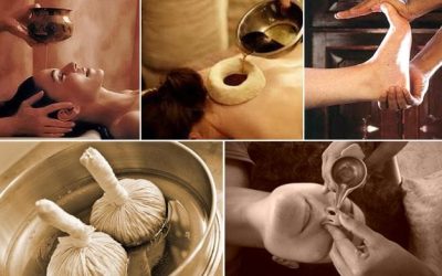 Ayurveda Synovia Health Ayurveda Synovia Health